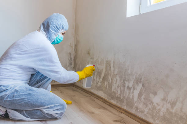Licensed Crawl Space Mold Removal service in Kearny, NJ - WQB Mold Removal