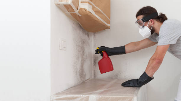 Professional Crawl Space Mold Removal technician working in Kearny, NJ