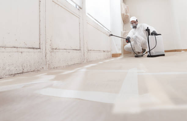 24/7 Emergency Crawl Space Mold Removal experts in Kearny, NJ