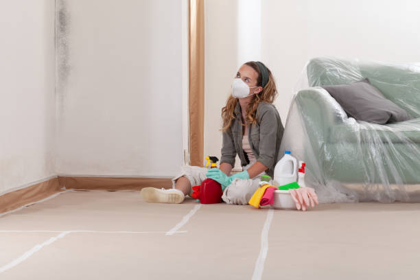 Reliable Crawl Space Mold Removal contractor in Kearny, NJ by WQB Mold Removal