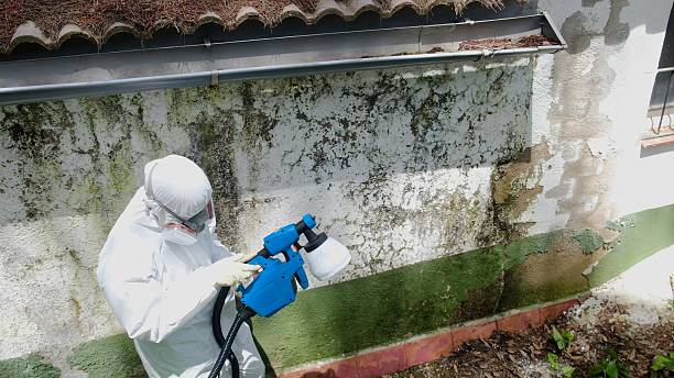 Top rated local Crawl Space Mold Removal specialists in Kearny, NJ